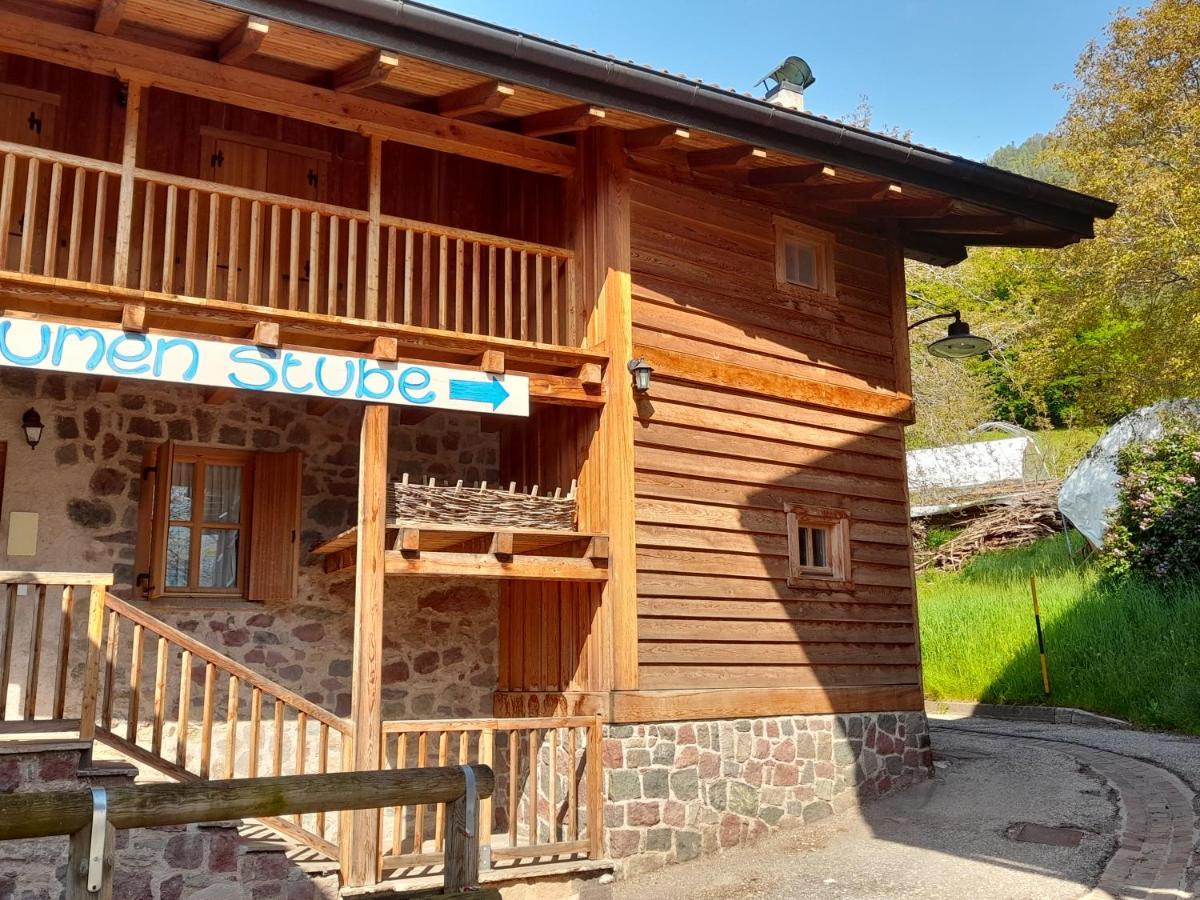 B&B Chalet Dolomiti Sant'Orsola Eksteriør billede