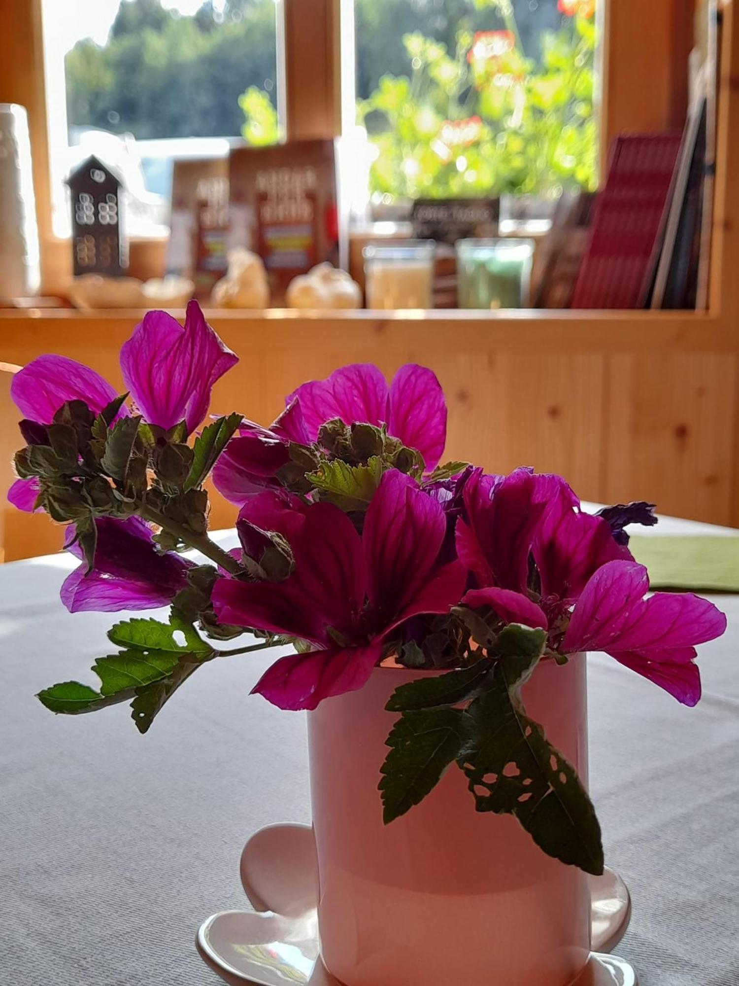 B&B Chalet Dolomiti Sant'Orsola Eksteriør billede